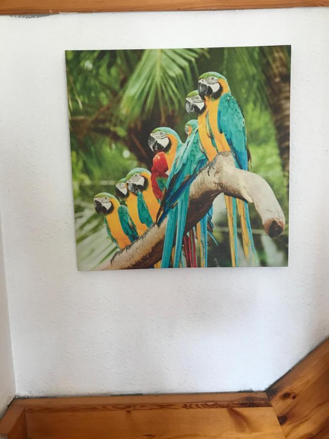 Bonita Casa Adosada Empuriabrava Luaran gambar